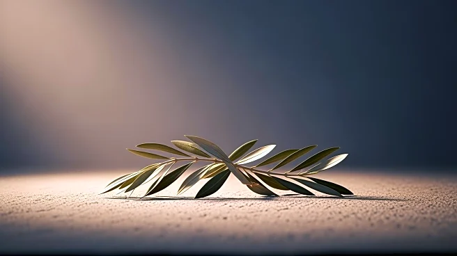 Australia's Antisemitism Surge Prompts Call for Israel-Diaspora Unity