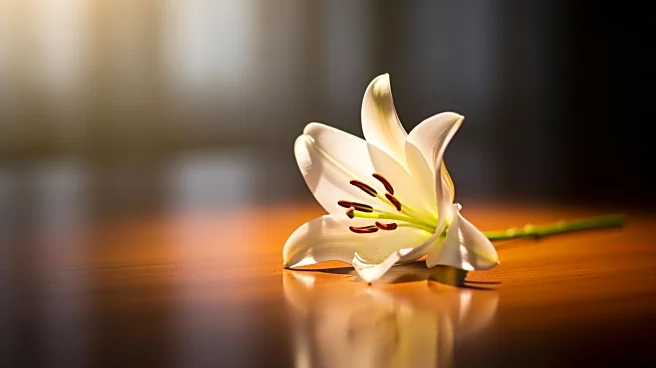 Kevin Faulk Faces Tragedy as Daughter Passes Away, Following Previous Family Loss