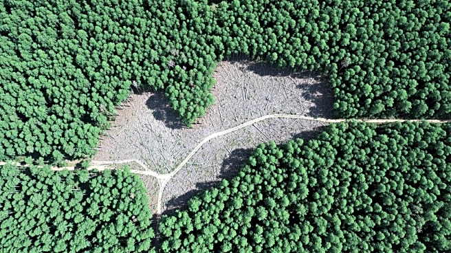 Satellite Study Reveals Severe Forest Loss in Assam Due to Human Activities