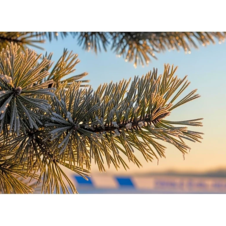 WBZ Provides Weather Update for December 10, 2025, Highlighting New England Conditions