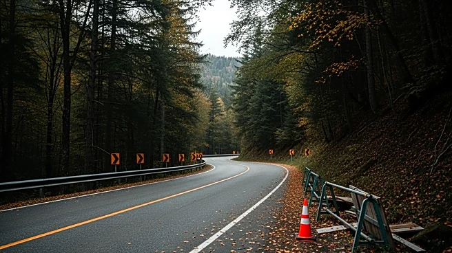 Topanga Canyon Businesses Struggle Amid Prolonged Roadwork Post-Palisades Fire