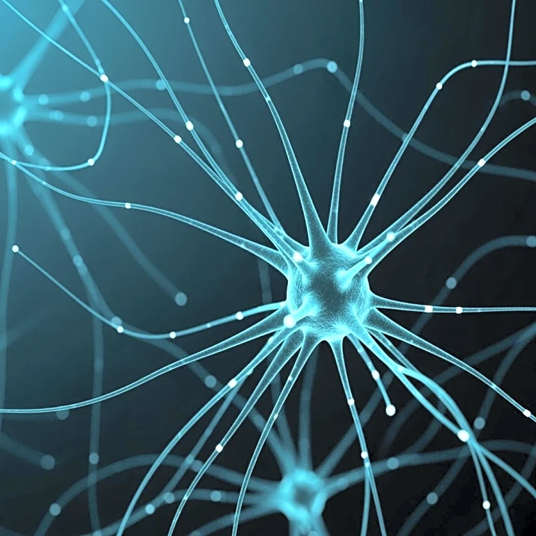 Researchers Identify Metabolic Causes of Cognitive Fatigue, Offering New Diagnostic Hope