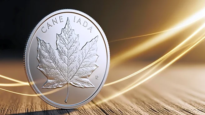Canadian Dollar Strengthens Amid Trade Surplus and Economic Resilience