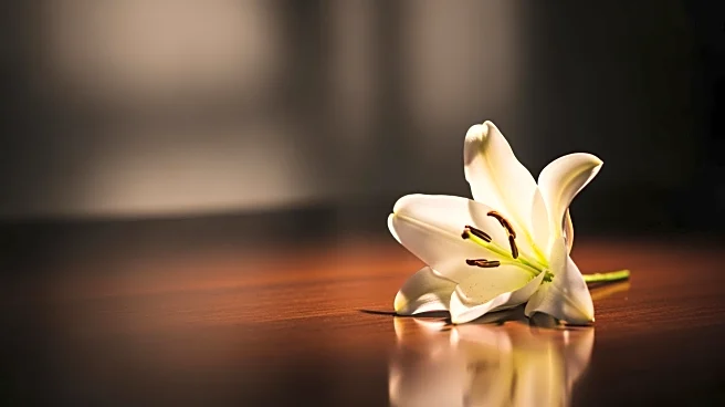 NFL Alum Kevin Faulk Mourns Loss of Second Daughter Tanasha Faulk