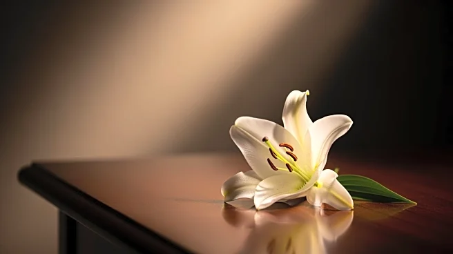 Peter J. Stahlbrodt Remembered in Obituary