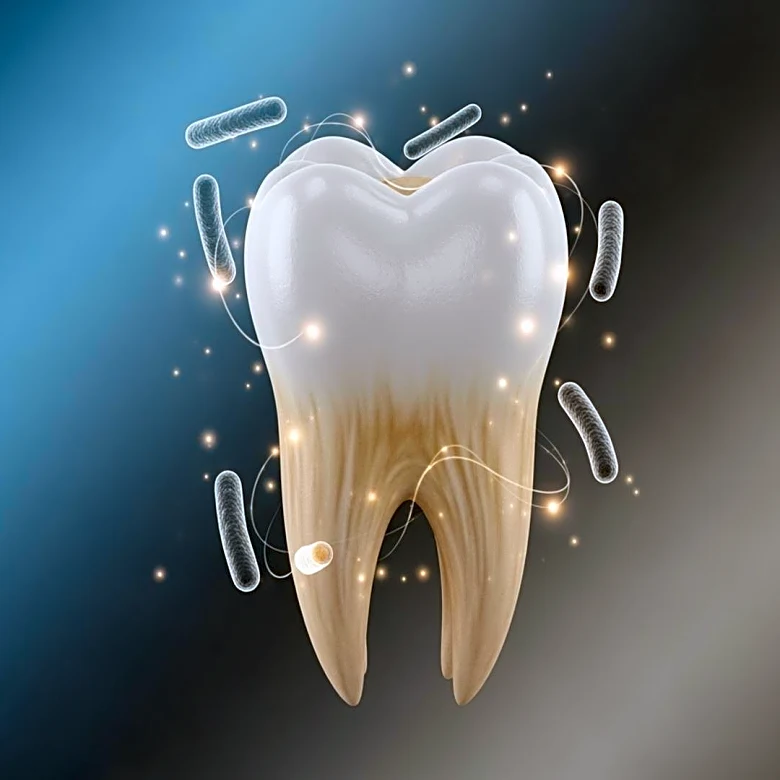 Research Links Gum Disease Bacteria to Alzheimer's Disease Development