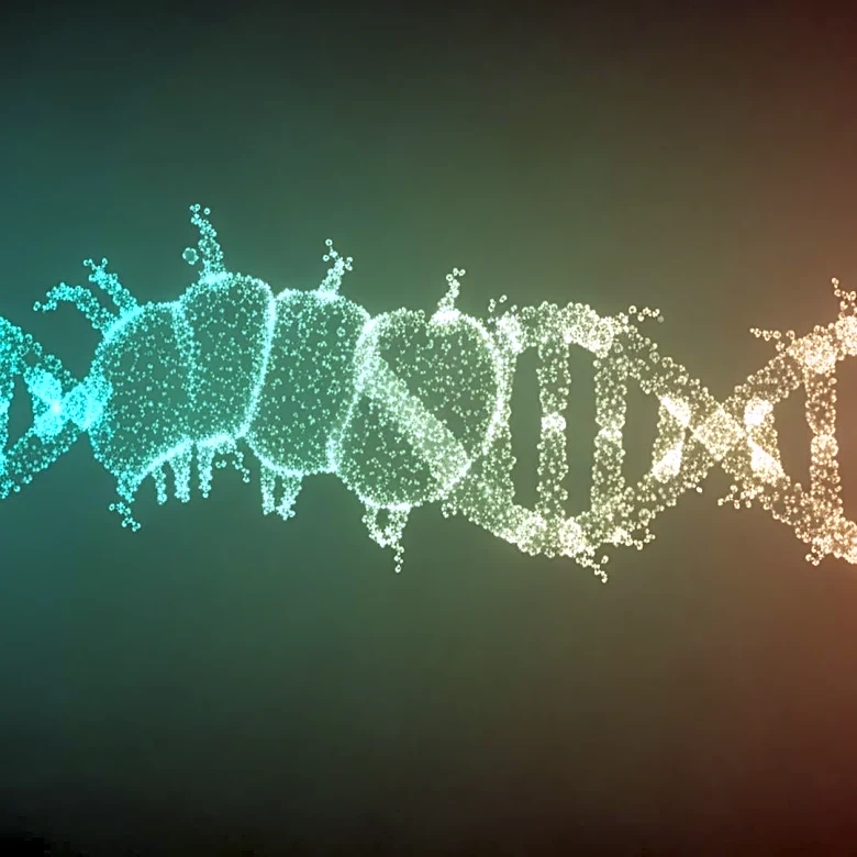 Venomous Caterpillar Study Reveals Genetic Evolution of Toxins