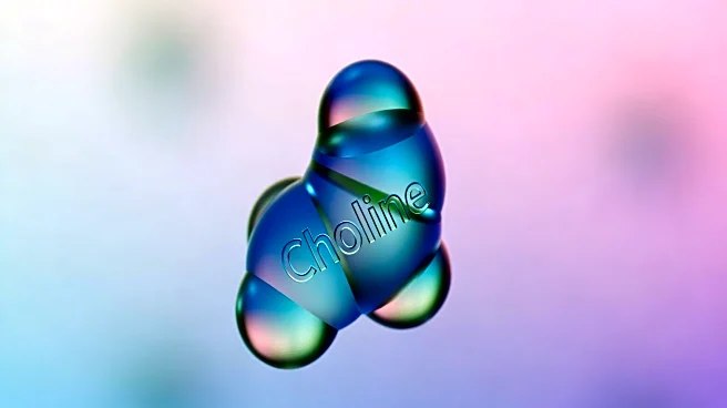 Study Reveals Lower Choline Levels in Individuals with Anxiety Disorders