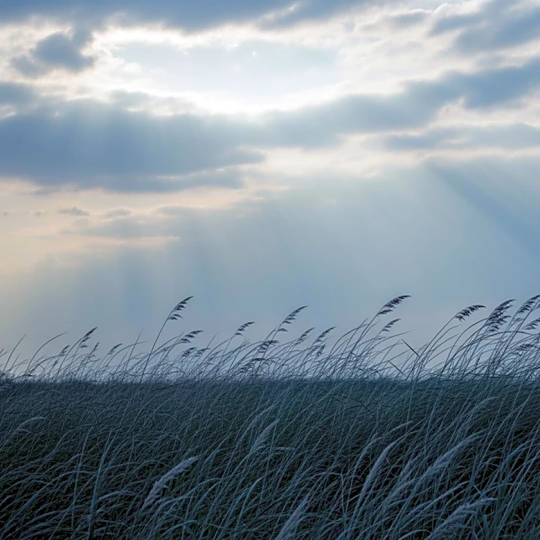 Weather Forecast: Weakening Winds and Cooler Temperatures Expected