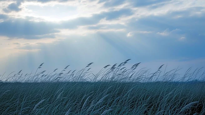 Weather Forecast: Weakening Winds and Cooler Temperatures Expected