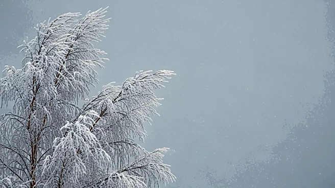 New York City Faces Cold and Breezy Weather with Potential Snow