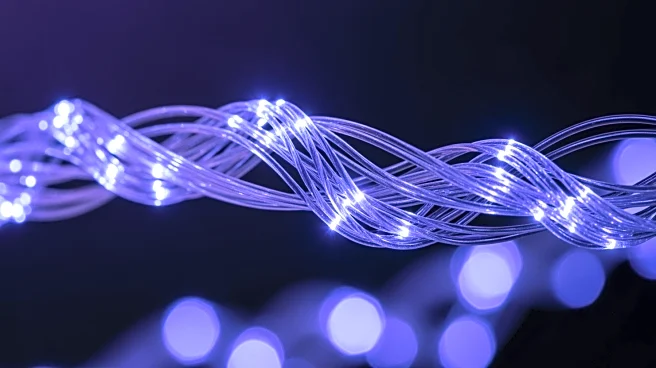 Study Explores Spectrolaminar Motif in Primate Neocortex Using Local Field Potential