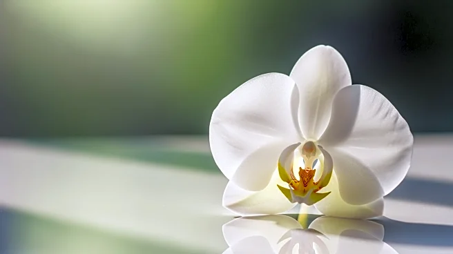 King Charles Announces Reduction in Cancer Treatment Due to Positive Response