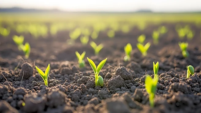 USDA's Regenerative Agriculture Pilot Program Sparks Mixed Reactions