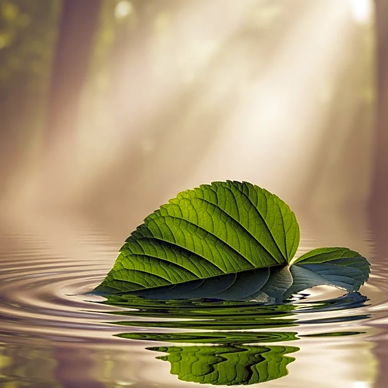 MacKenzie Scott Allocates Over $1 Billion to Climate and Environmental Initiatives