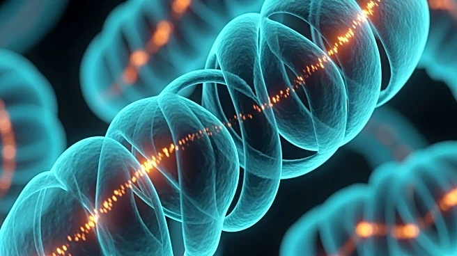 Fluorescence Lifetime Imaging Reveals Mitochondrial Membrane Potential