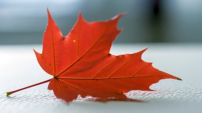 CDC Identifies New Jersey as Flu Hotspot Amid Rising Cases