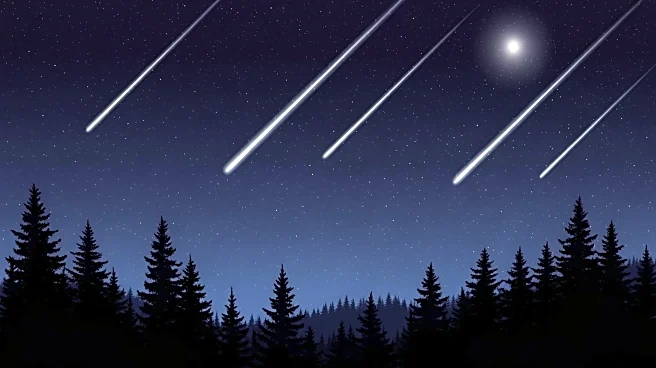 Geminids Meteor Shower Peaks, Offering Spectacular Night Sky Display