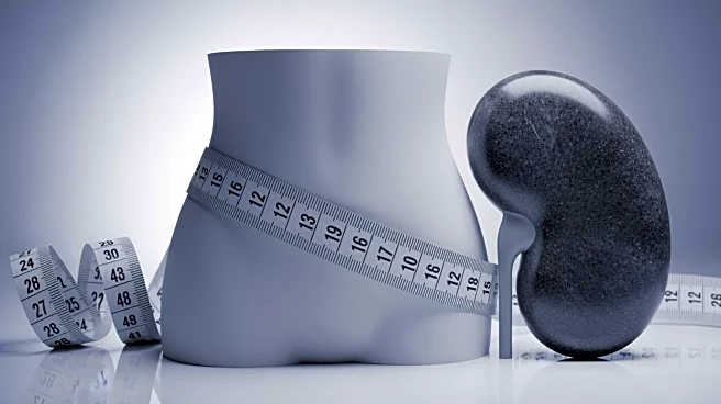 Study Identifies Waist-to-Height Ratio as Key Indicator of Renal Sinus Fat and Kidney Health