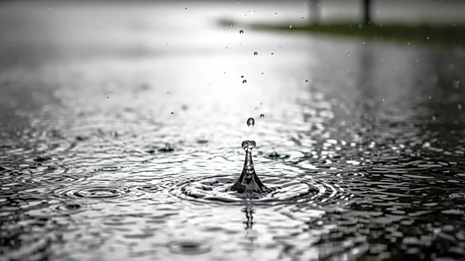 Storm Byron Causes Record Rainfall and Flooding in Southern Israel