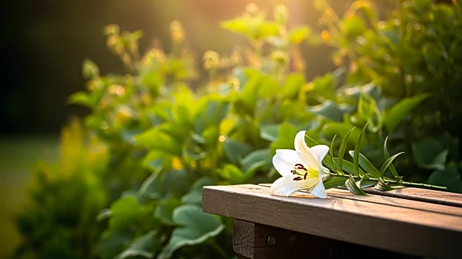 Frances M. Natale's Passing Marks the End of a Life Rich in Community Involvement