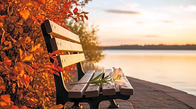 Sheila Perkovich's Legacy Celebrated in Chicago Obituary