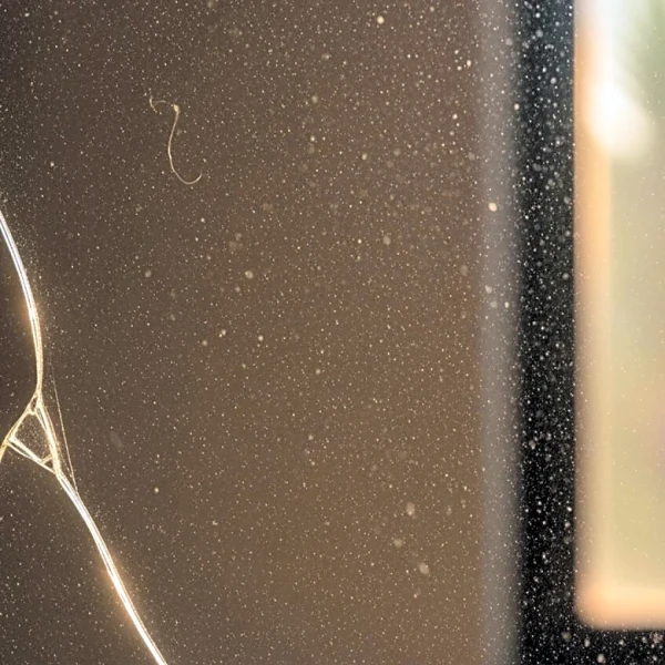 Study Highlights Indoor Dust and Health Risks in Puerto Rico Post-Hurricane Maria