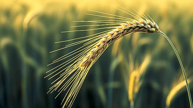 Karnataka Pradesh Krishik Samaj Urges Upgrade of Bidar Agriculture College to Degree Level