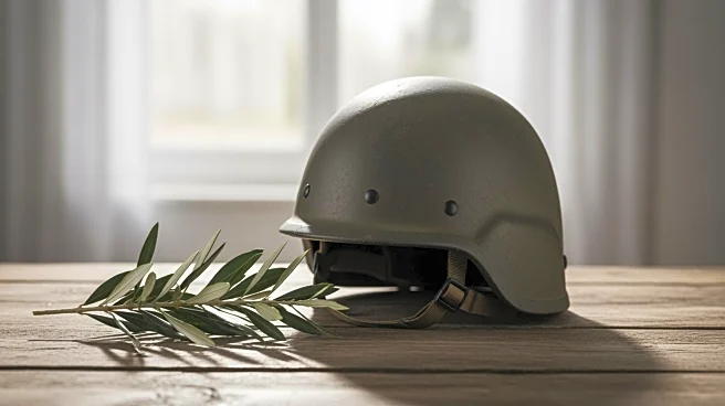 Italy Commits Troops to U.S.-Led Stabilization Force in Gaza