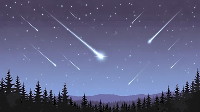Ursids Meteor Shower to Peak with Potential for Enhanced Activity