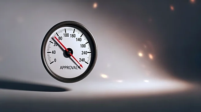 President Trump's Approval Ratings Decline Amid Economic Concerns