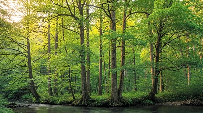 Essipit Innu First Nation Prohibits Mining in Protected Area to Preserve Biodiversity