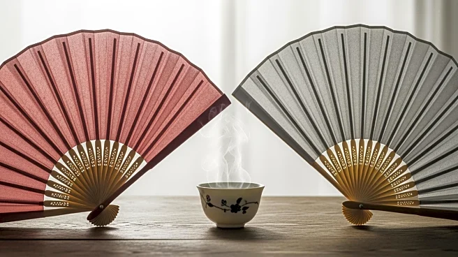 China Sanctions Former Japan Self-Defense Forces Chief for Taiwan Collaboration