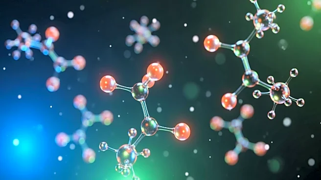 New Insights into Glycine and Hydroxyl Radical Reaction Dynamics