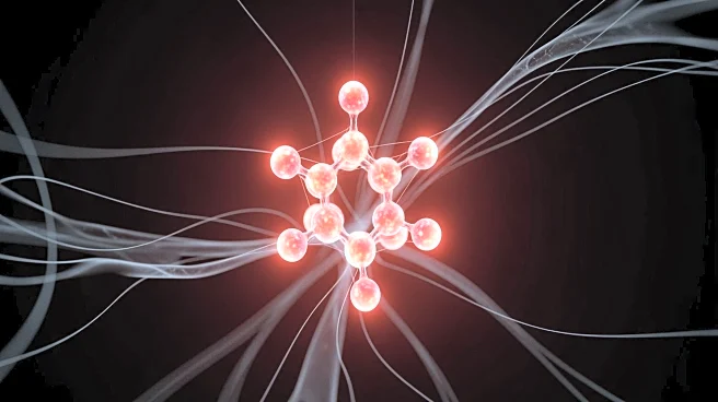 New Research on Long COVID Suggests Chronic Inflammation as a Key Factor