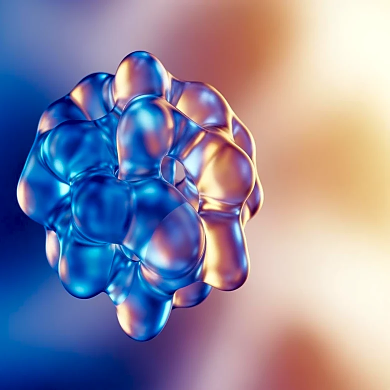 GDF3 Protein Linked to Inflammation in Aging Adipose Tissue