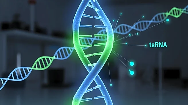 New RNA Sequencing Method Reveals Key Role of tsRNA-Glu-CTC in Cholesterol Regulation