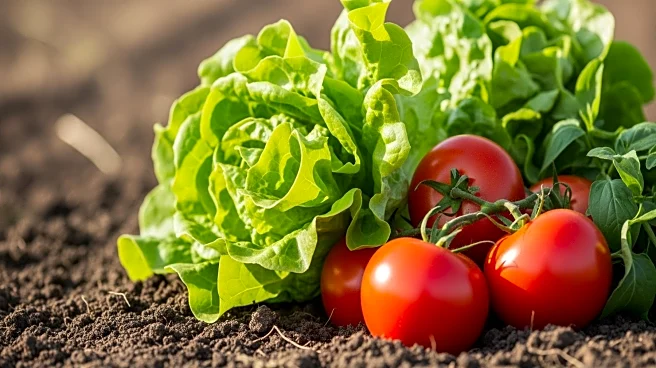USDA Announces $700 Million Funding to Boost Organic Vegetable Farming