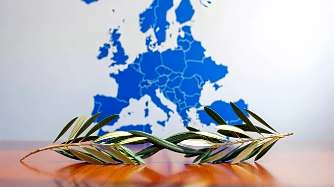 Russia Considers Ukraine's EU Membership in Peace Deal Talks with U.S.