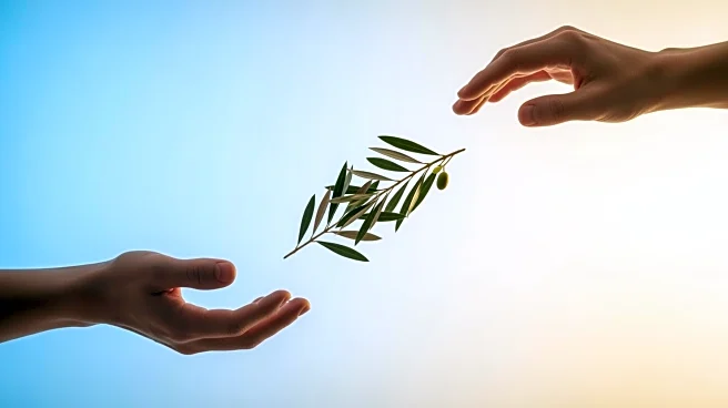 Ukraine Offers to Drop NATO Bid in Exchange for Security Guarantees Amid Peace Talks