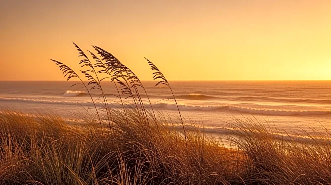 Amber Lee Forecasts Continued Warm Weather Amid Offshore Winds