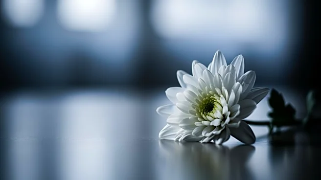 Flu-Related Deaths of Children in Ottawa Highlight Severe Influenza Risks