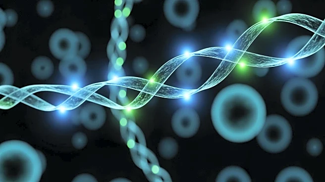 Transgelin's Role in Pancreatic Cancer Progression