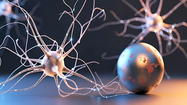 Slc22a17's Role in Neurogenesis and Iron Homeostasis in Mice