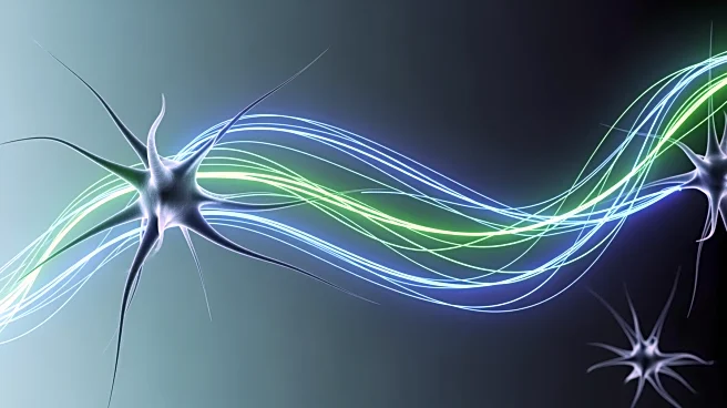 Exercise Enhances Hormone Transport to the Brain, Potentially Affecting Mental Health