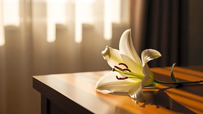 Robert Pauss Obituary: Honoring a Life of 92 Years in Addison