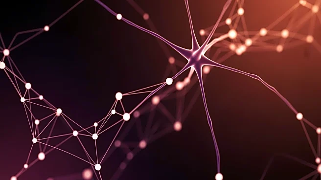 Boston University Study Identifies Key Alzheimer's Gene in African American Brain Tissue