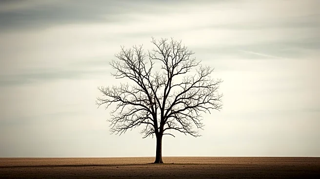 Nebraska Mom Diagnosed with ALS Faces Life-Altering Challenges