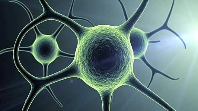 Distinct Regulatory T-Cell Subsets Influence Colorectal Cancer Outcomes