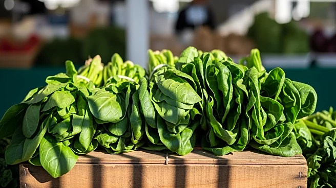 Botswana's Vegetable Import Ban Sparks Regional Trade Concerns